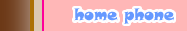 home phone